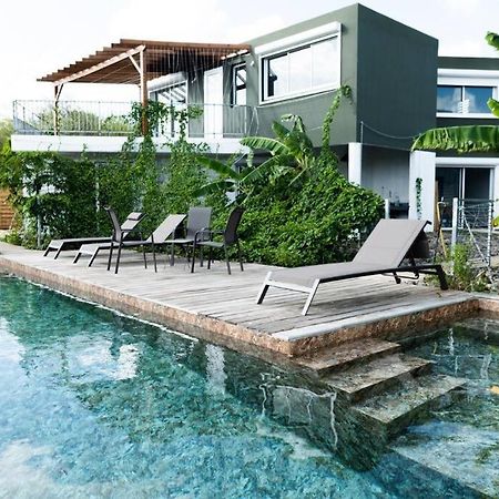 T3 Lumineux Avec Vue Exceptionnelle Et Piscine Oasis De Nature Et Serenite Petit-Canal Ngoại thất bức ảnh