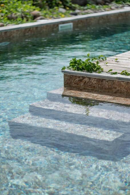 T3 Lumineux Avec Vue Exceptionnelle Et Piscine Oasis De Nature Et Serenite Petit-Canal Ngoại thất bức ảnh